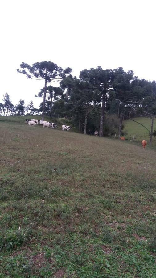Cantinho Do Sossego Urubici Dış mekan fotoğraf